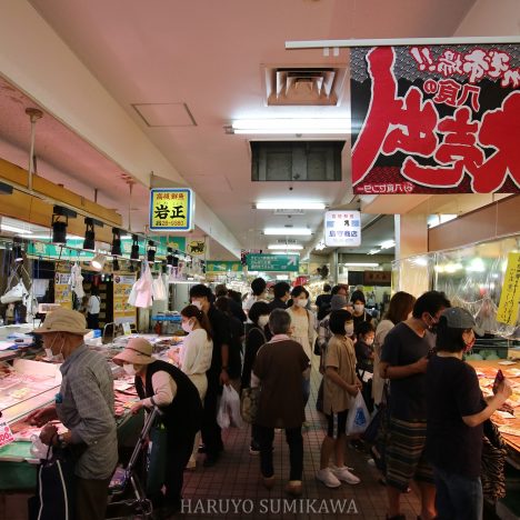 Seafoods, Mountains And Shrines Around Tokyo In A Day
